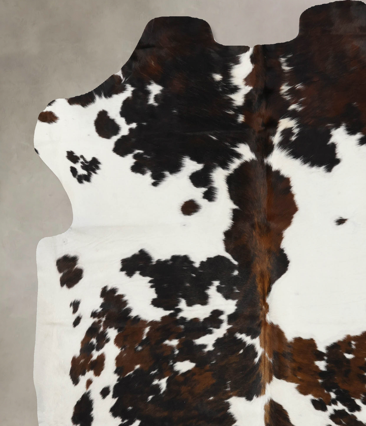 Tricolor X-Large European Cowhide Rug 7'1"H x 6'7"W #B12067 by Hudson Hides