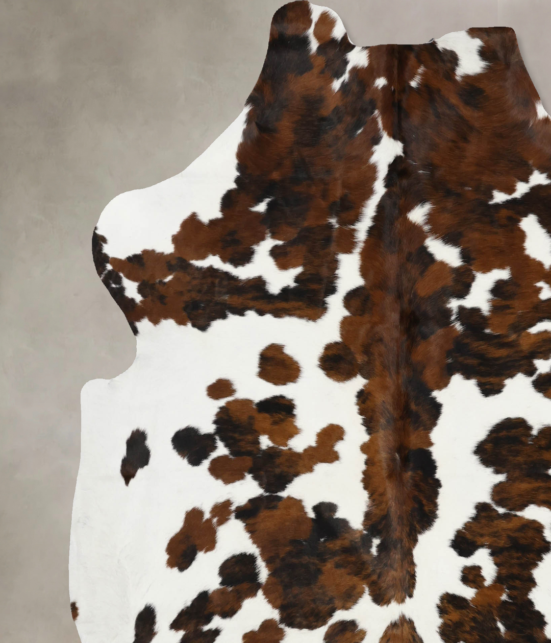 Tricolor X-Large European Cowhide Rug 7'1"H x 6'5"W #B12068 by Hudson 