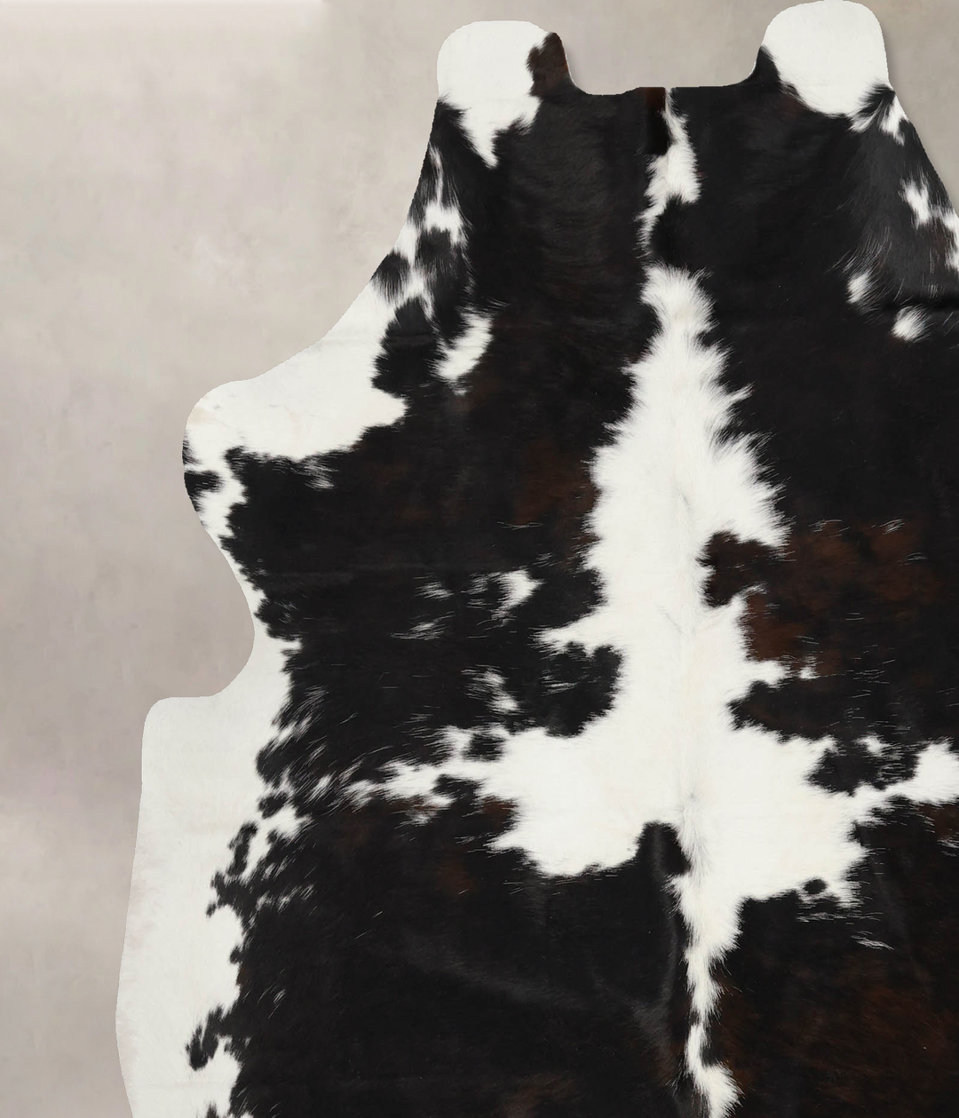 Tricolor X-Large European Cowhide Rug 7'2"H x 6'3"W #B12069 by Hudson 