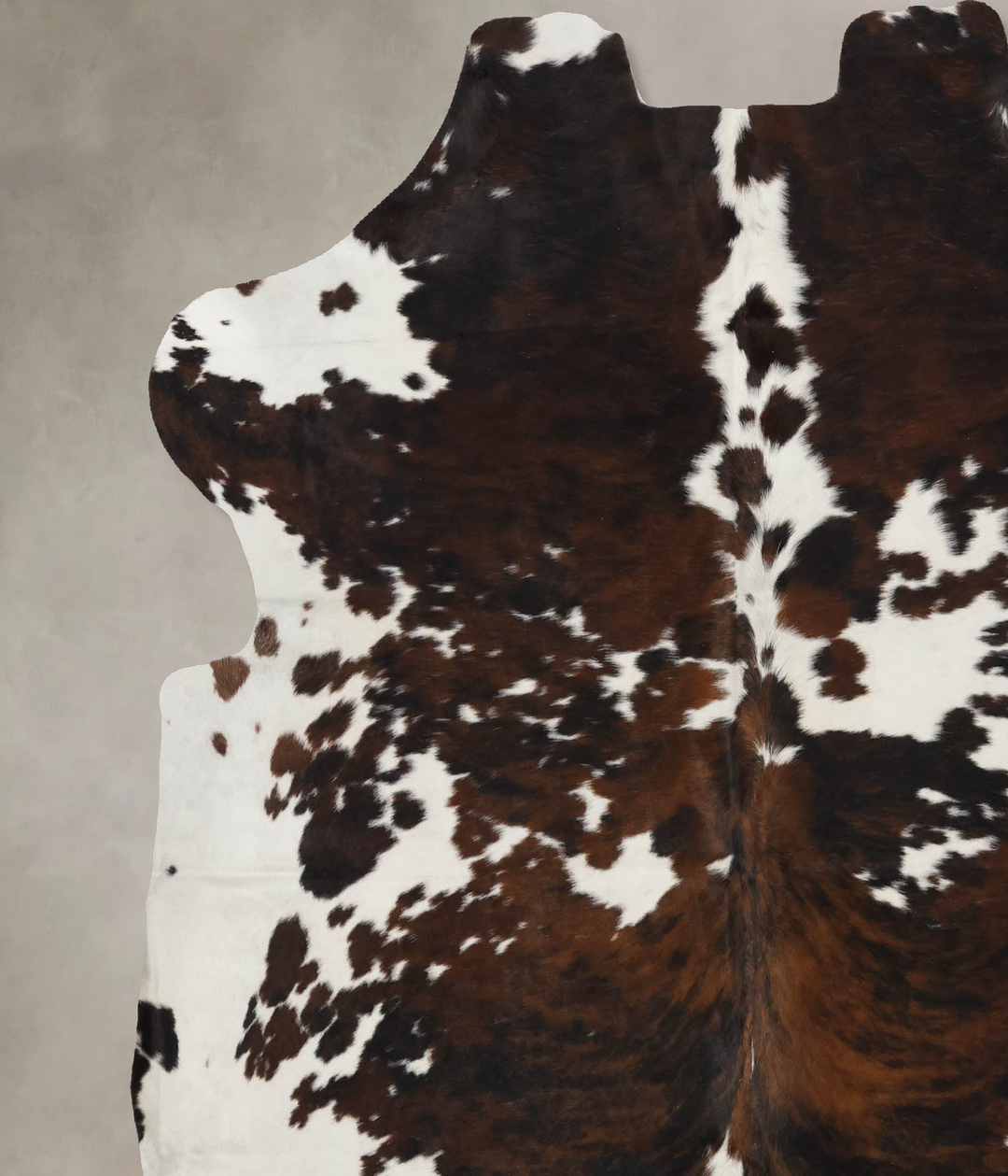 Tricolor X-Large European Cowhide Rug 6'11"H x 6'7"W #B12070 by Hudson