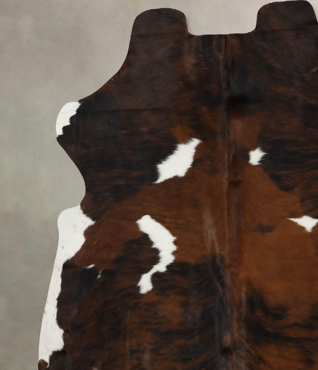 Tricolor X-Large European Cowhide Rug 7'1"H x 6'8"W #B12072 by Hudson 
