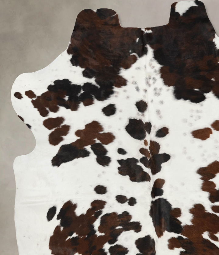 Tricolor X-Large European Cowhide Rug 7'2"H x 6'5"W #B12075 by Hudson Hides