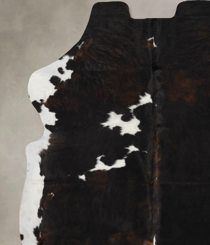 Tricolor X-Large European Cowhide Rug 7'1"H x 6'0"W #B12078 by Hudson Hides