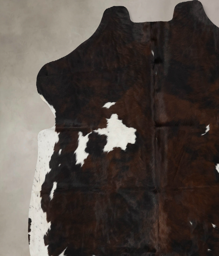 Tricolor X-Large European Cowhide Rug 6'11"H x 6'11"W #B12080 by Hudson Hides