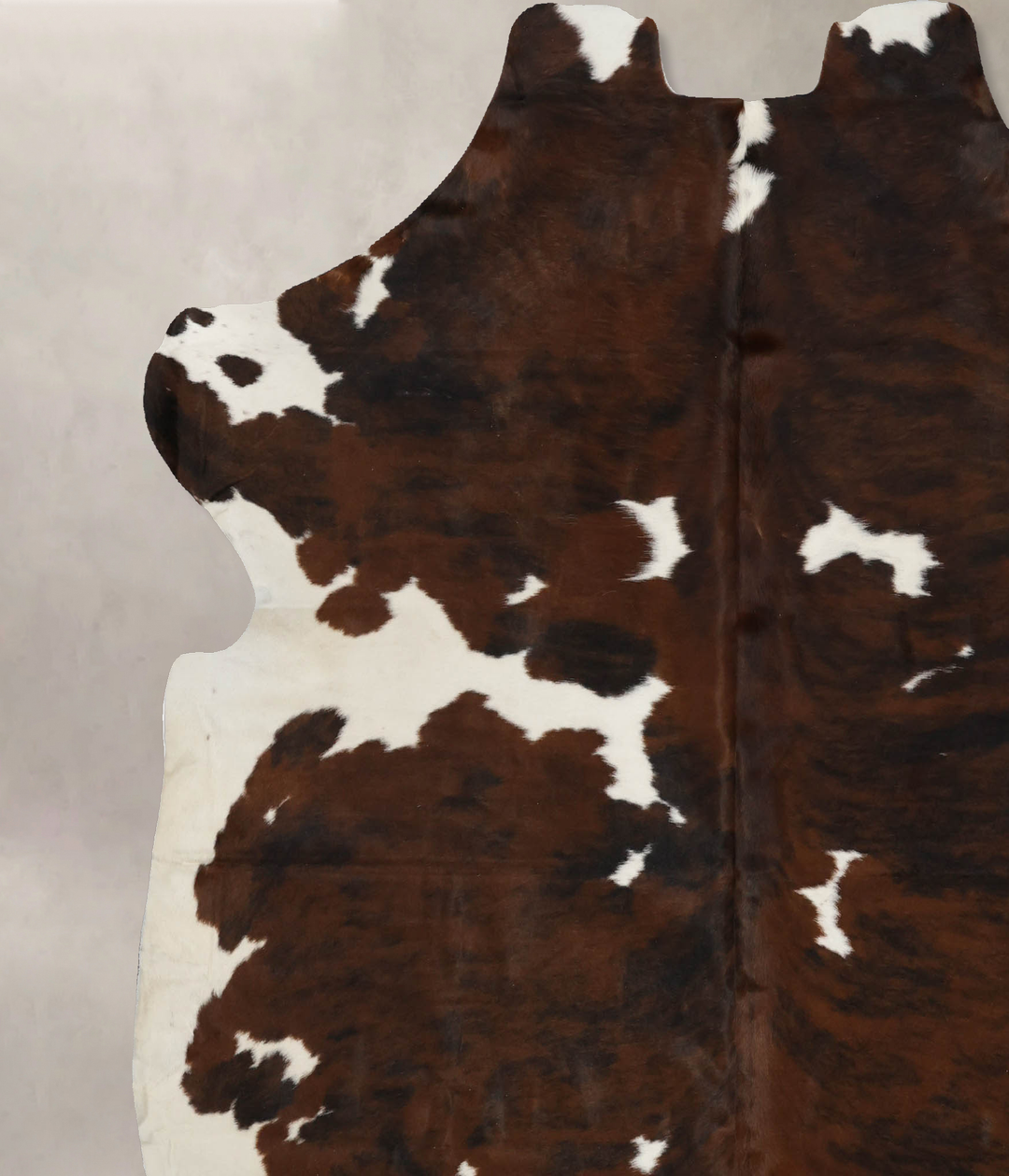 Tricolor X-Large European Cowhide Rug 7'3"H x 6'10"W #B12081 by Hudson