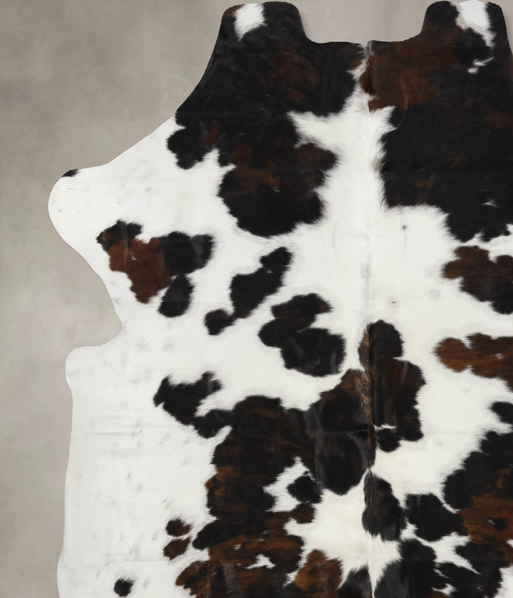 Tricolor X-Large European Cowhide Rug 7'4"H x 6'3"W #B12085 by Hudson Hides