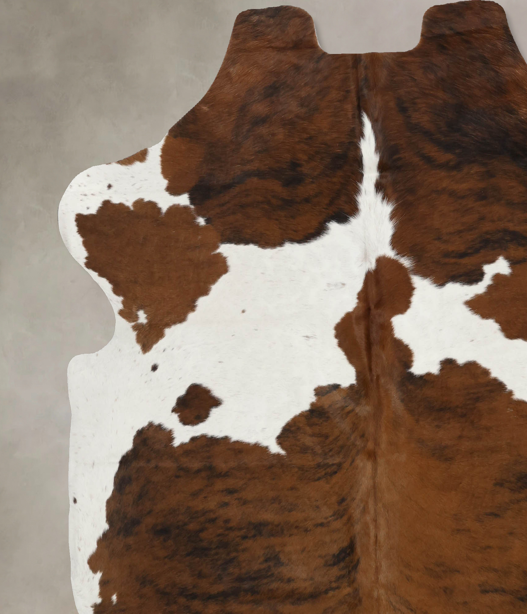 Tricolor X-Large European Cowhide Rug 7'0"H x 6'8"W #B12087 by Hudson 