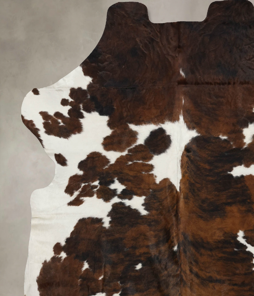 Tricolor X-Large European Cowhide Rug 7'5"H x 6'4"W #B12090 by Hudson 