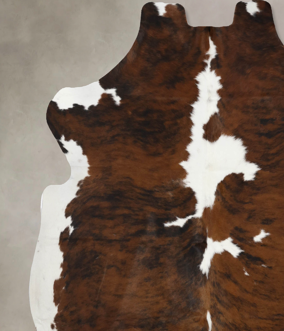 Tricolor X-Large European Cowhide Rug 7'1"H x 6'5"W #B12093 by Hudson 