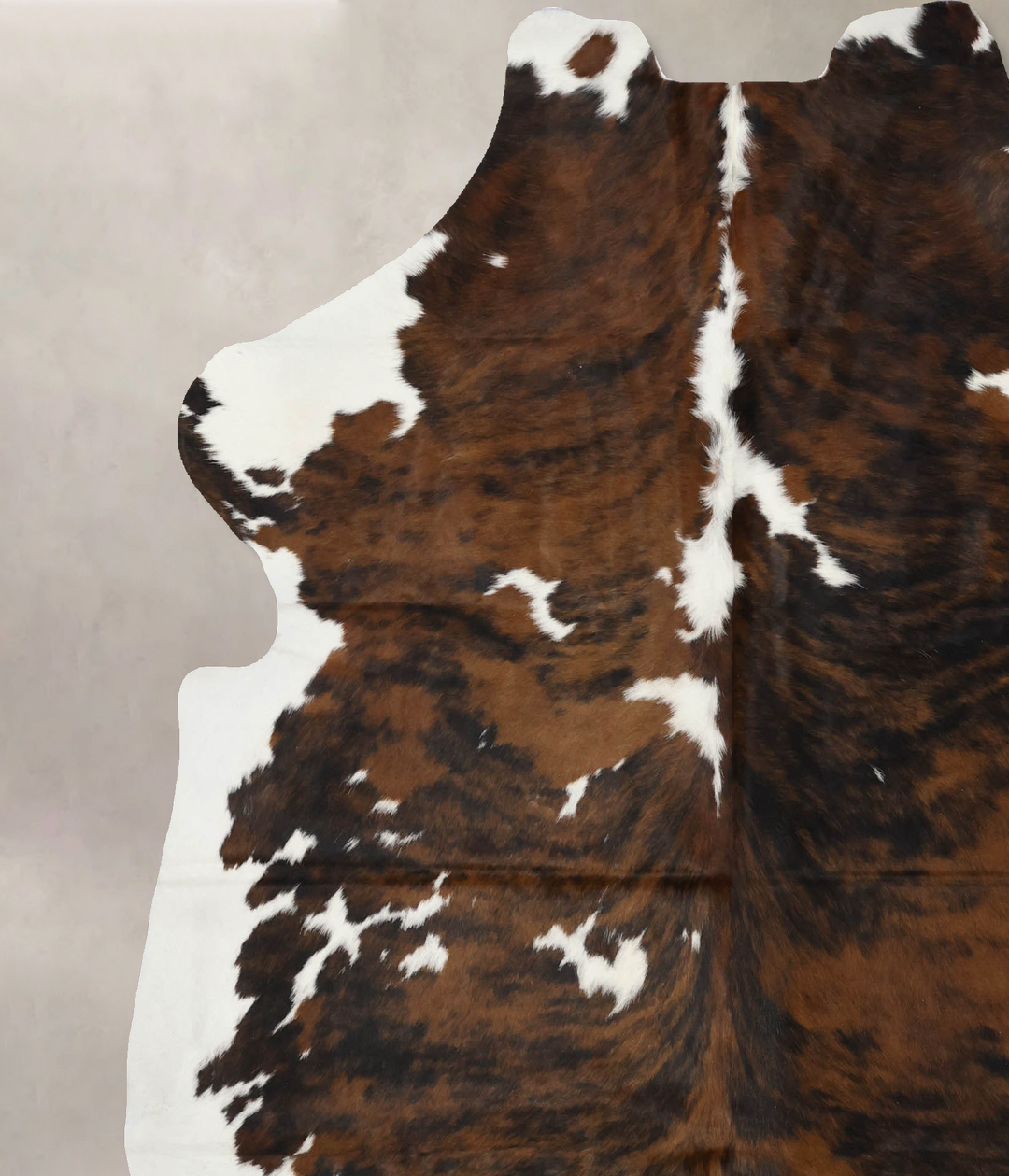 Tricolor X-Large European Cowhide Rug 7'3"H x 6'5"W #B12095 by Hudson 