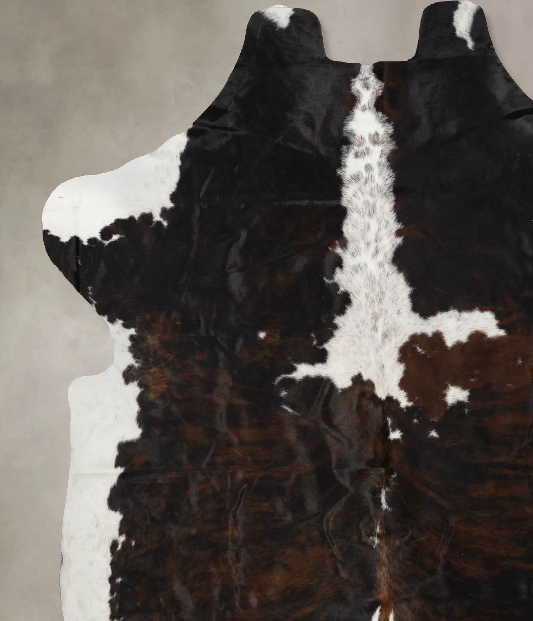 Tricolor X-Large European Cowhide Rug 7'1"H x 6'9"W #B12096 by Hudson 