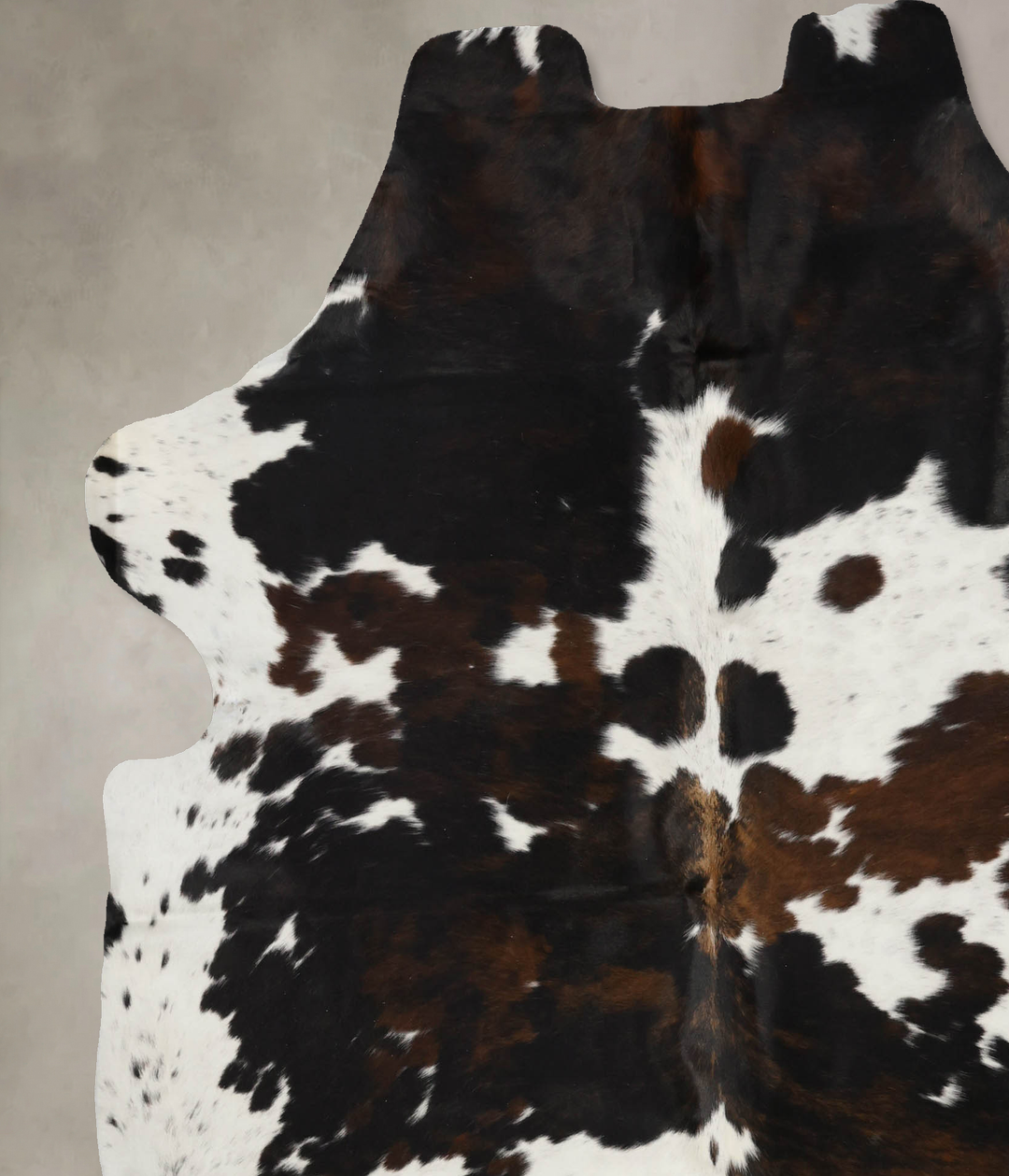 Tricolor X-Large European Cowhide Rug 7'2"H x 6'6"W #B12098 by Hudson 