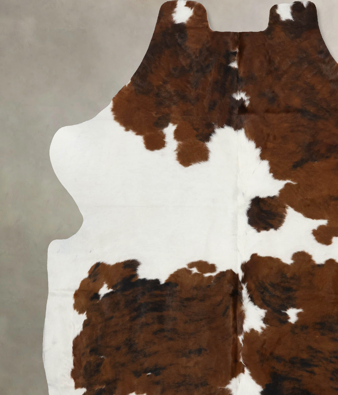 Tricolor X-Large European Cowhide Rug 7'1"H x 6'7"W #B12100 by Hudson 