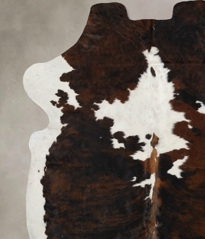 Tricolor X-Large European Cowhide Rug 7'3"H x 6'1"W #B12106 by Hudson Hides