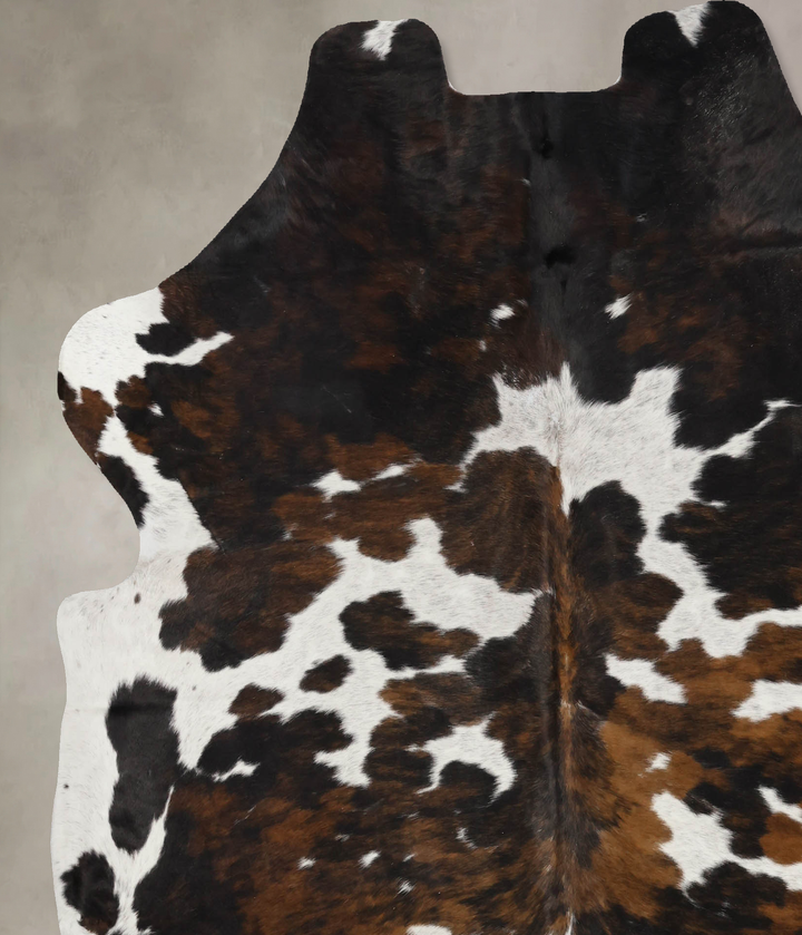 Tricolor X-Large European Cowhide Rug 7'1"H x 6'5"W #B12107 by Hudson Hides