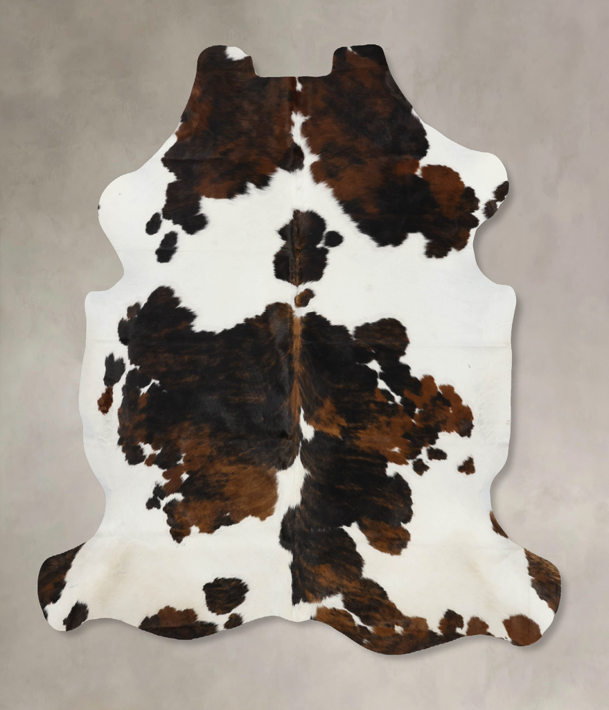 Tricolor X-Large European Cowhide Rug 6'11"H x 6'1"W #B12108 by Hudson Hides