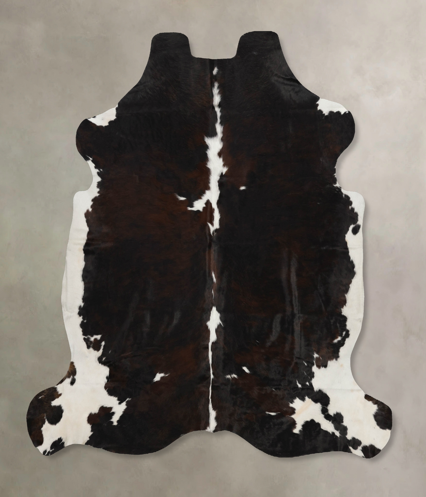 Tricolor X-Large European Cowhide Rug 7'3"H x 6'11"W #B12110 by Hudson Hides
