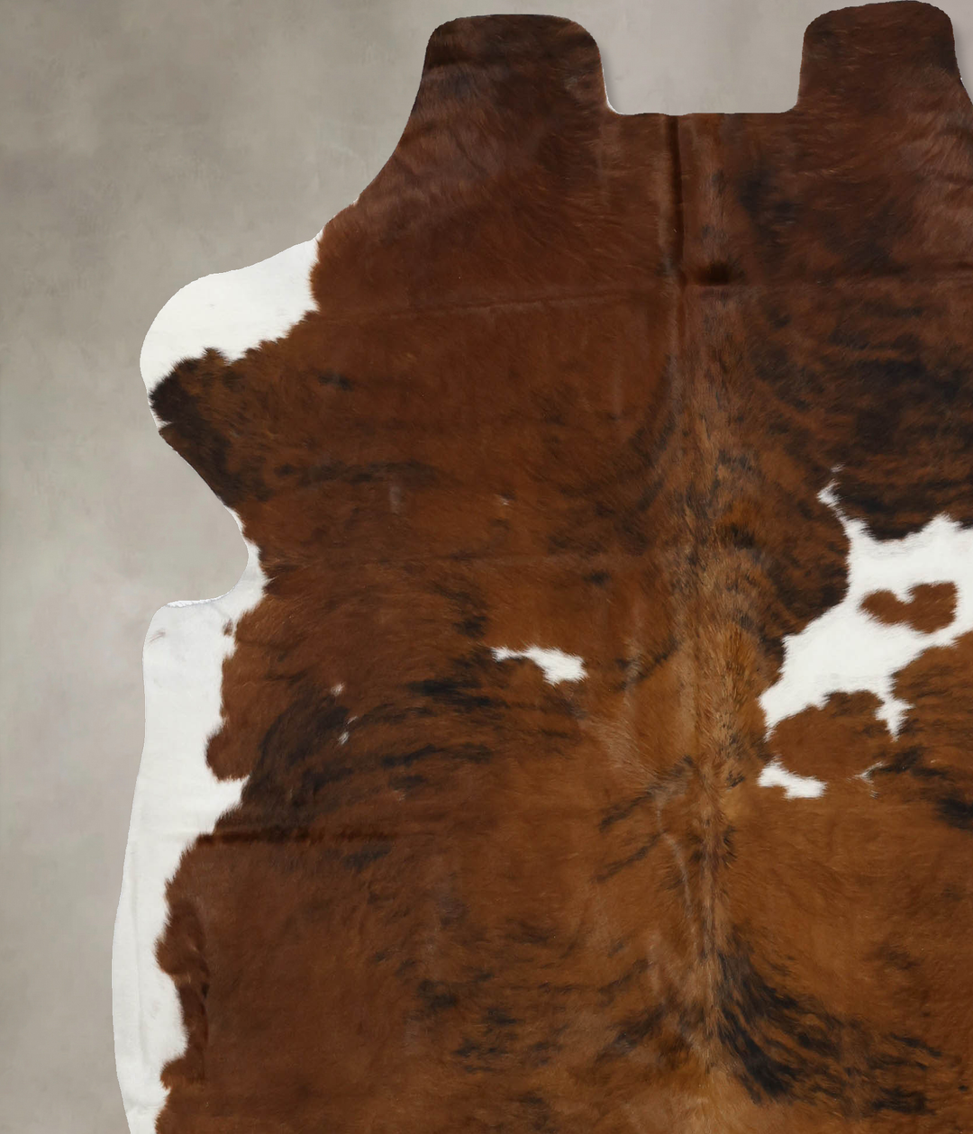 Tricolor X-Large European Cowhide Rug 7'2"H x 6'6"W #B12112 by Hudson 