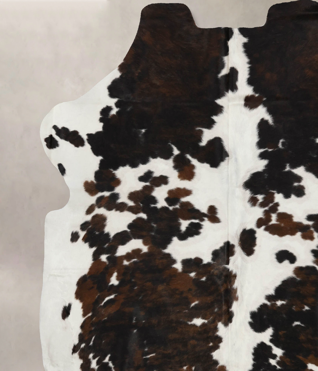 Tricolor X-Large European Cowhide Rug 7'4"H x 6'8"W #B12113 by Hudson 