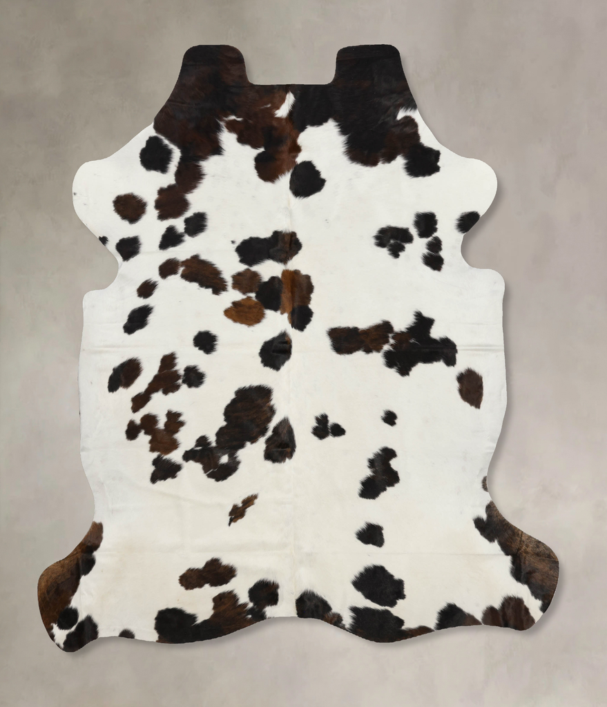 Tricolor X-Large European Cowhide Rug 6'11"H x 6'4"W #B12115 by Hudson Hides