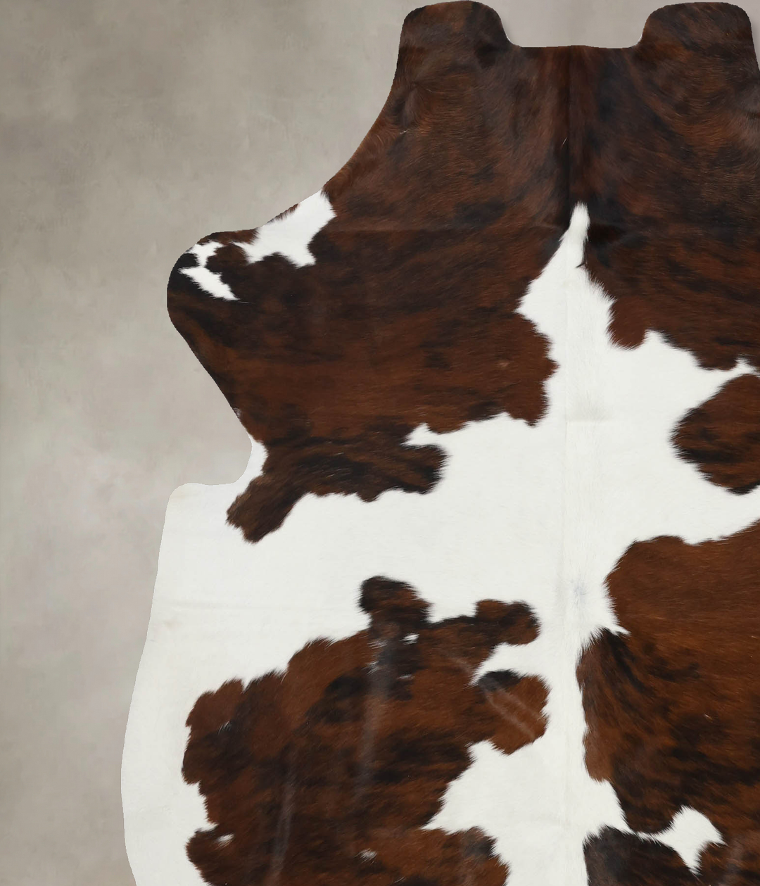 Tricolor X-Large European Cowhide Rug 7'3"H x 6'1"W #B12117 by Hudson 