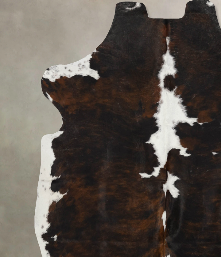 Tricolor X-Large European Cowhide Rug 7'1"H x 6'6"W #B12118 by Hudson Hides