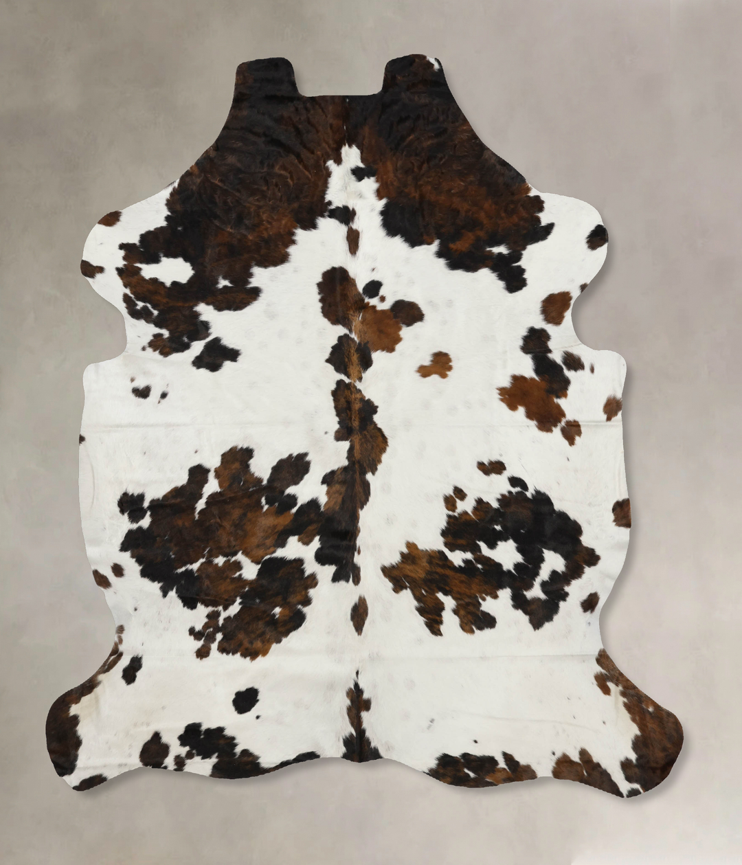 Tricolor X-Large European Cowhide Rug 7'0"H x 6'1"W #B12121 by Hudson 