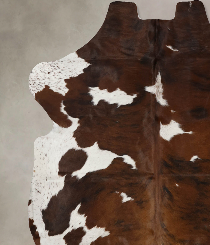 Tricolor X-Large European Cowhide Rug 6'11"H x 6'2"W #B12130 by Hudson Hides