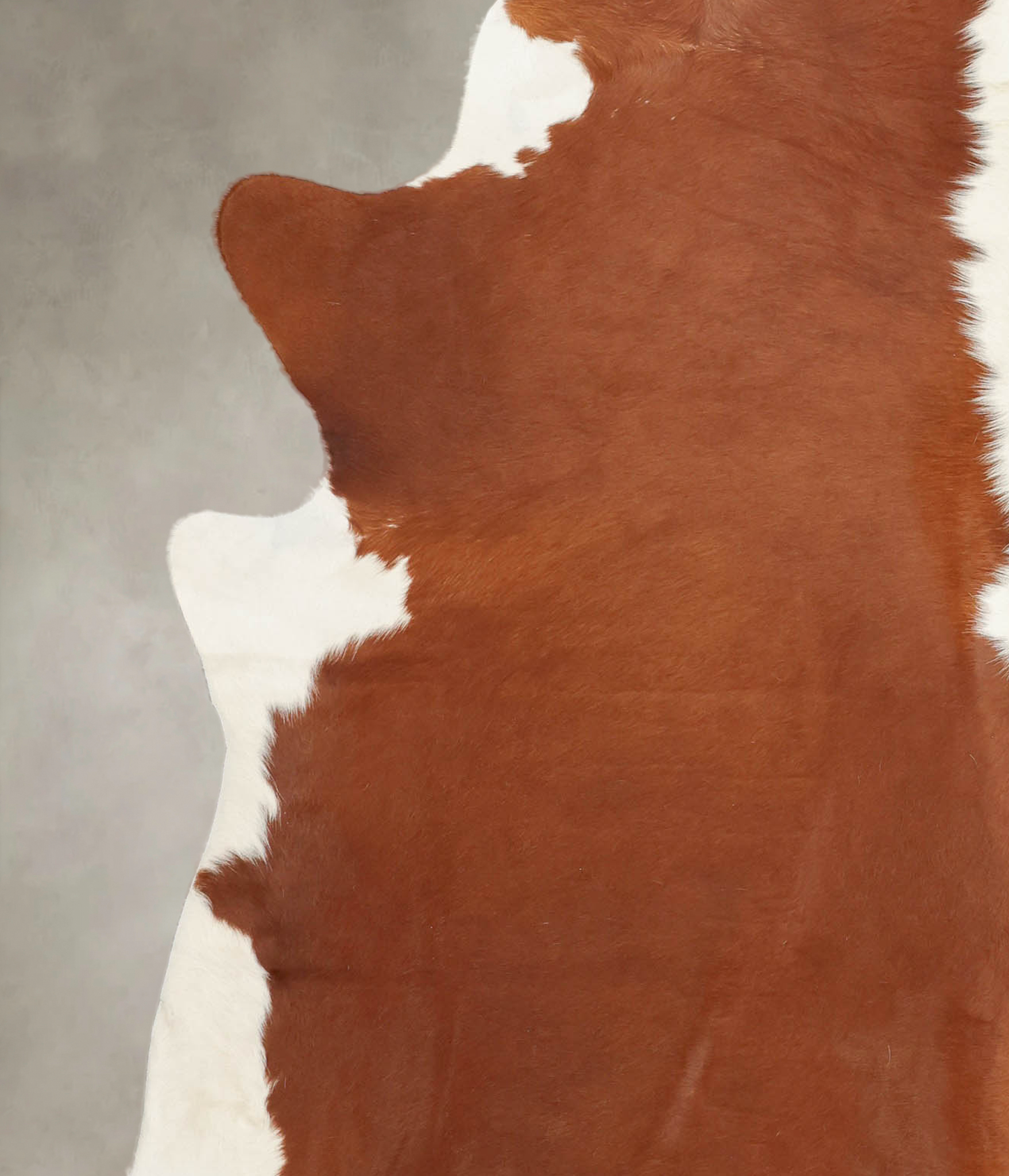 Hereford Cowhide Rug #B1216
