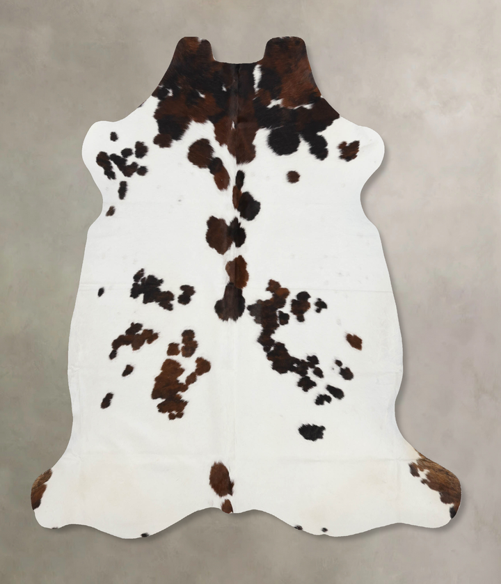 Tricolor Large European Cowhide Rug 6'5"H x 6'2"W #B12165 by Hudson Hides
