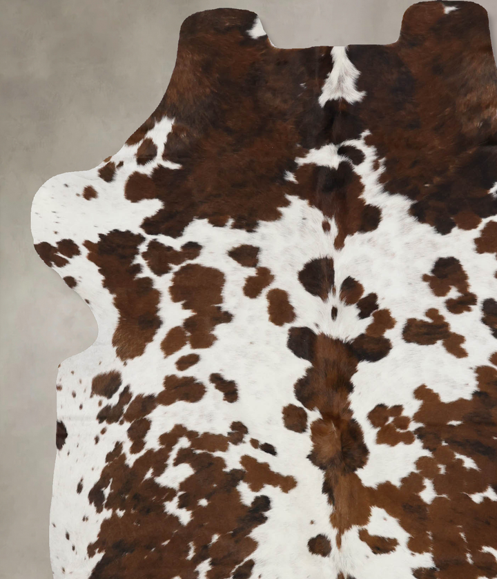 Tricolor Large European Cowhide Rug 6'7"H x 5'6"W #B12168 by Hudson Hides