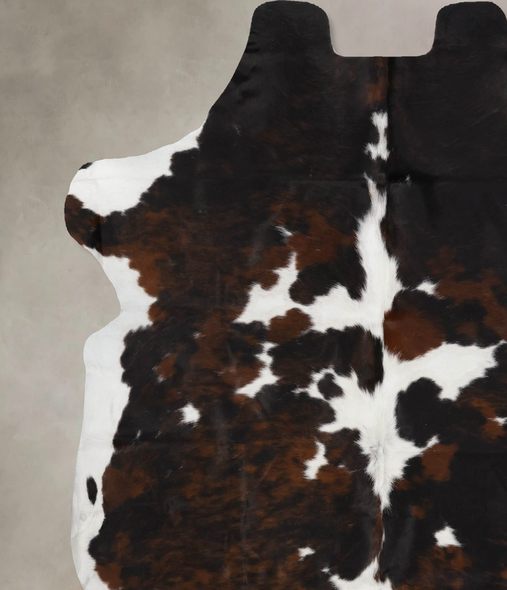 Tricolor X-Large European Cowhide Rug 6'9"H x 6'5"W #B12207 by Hudson Hides