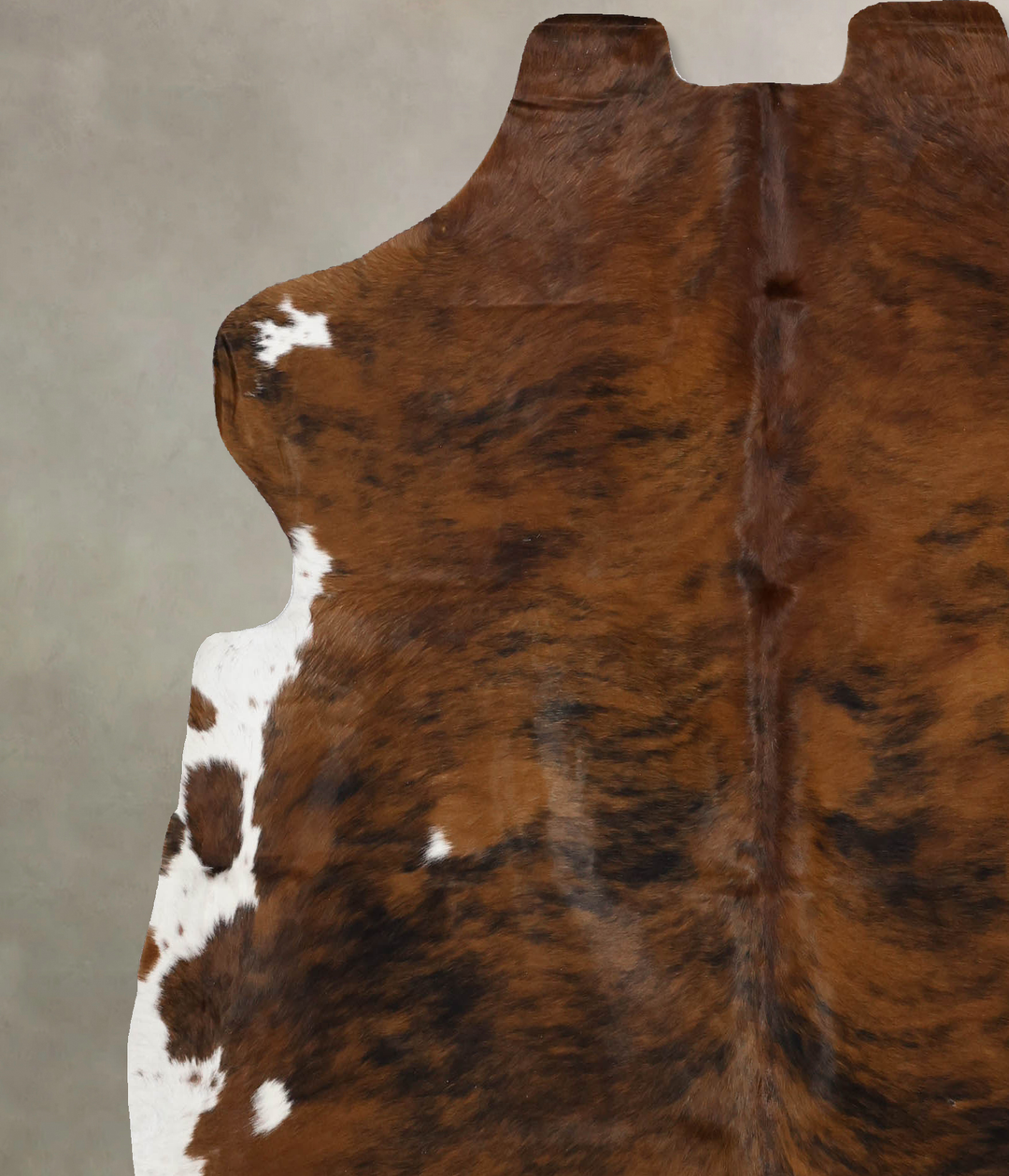 Tricolor X-Large European Cowhide Rug 6'8"H x 6'4"W #B12218 by Hudson 