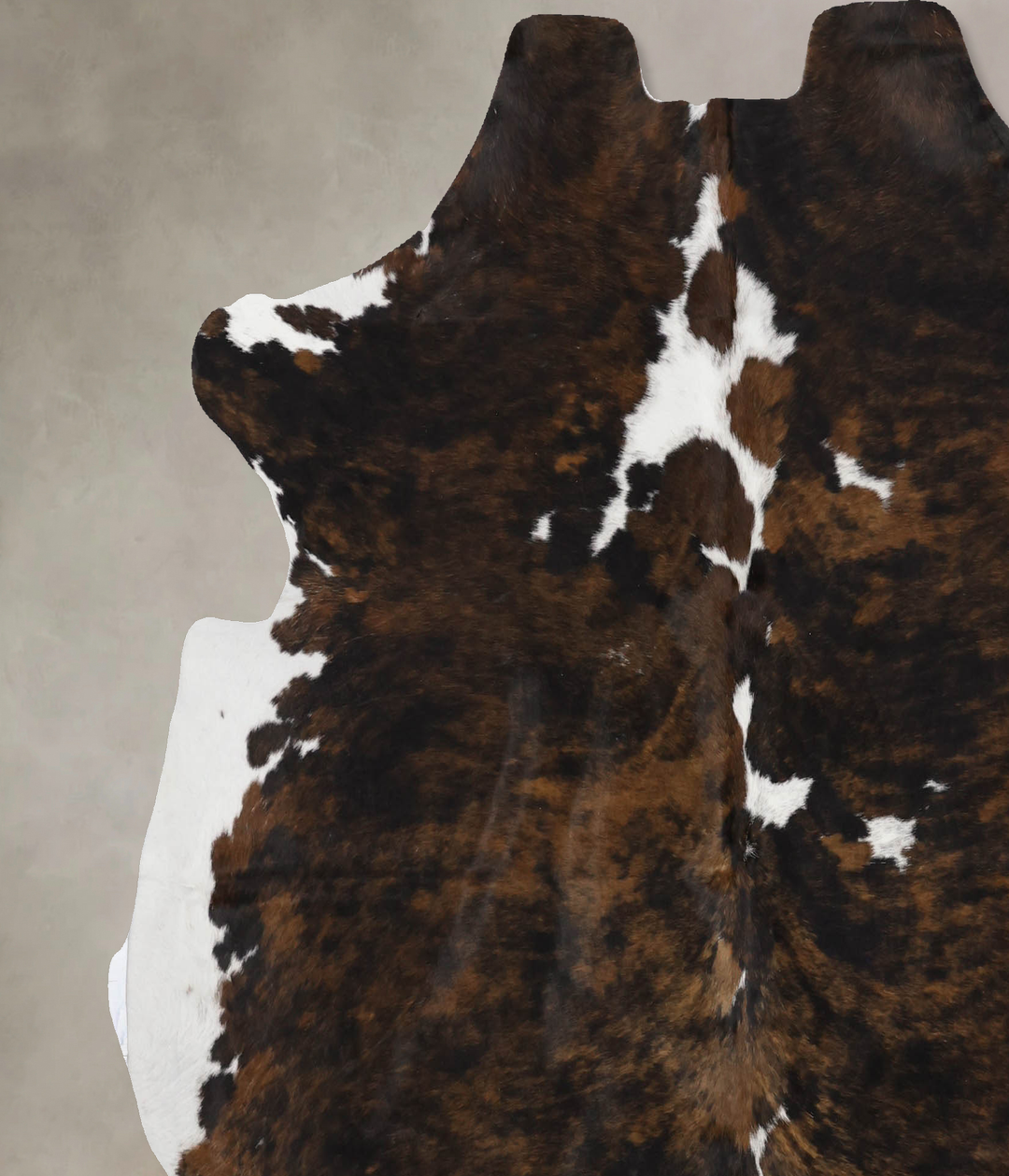 Tricolor X-Large European Cowhide Rug 6'5"H x 6'6"W #B12220 by Hudson 