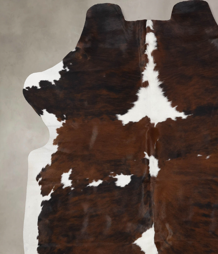 Tricolor X-Large European Cowhide Rug 6'10"H x 5'11"W #B12240 by Hudson Hides