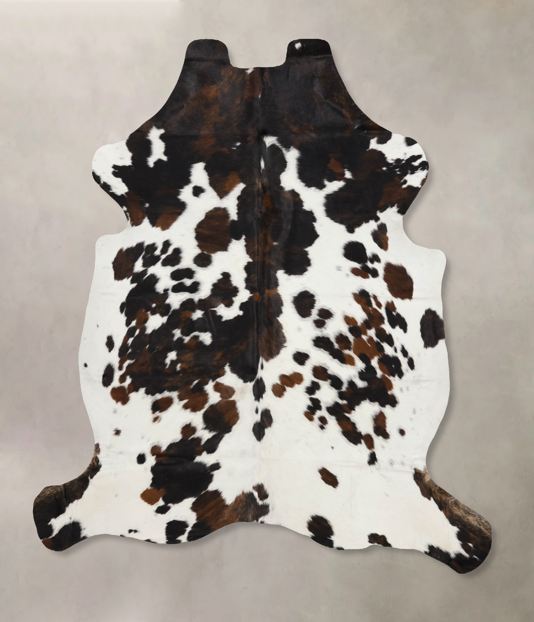 Tricolor X-Large European Cowhide Rug 7'1"H x 6'1"W #B12249 by Hudson 