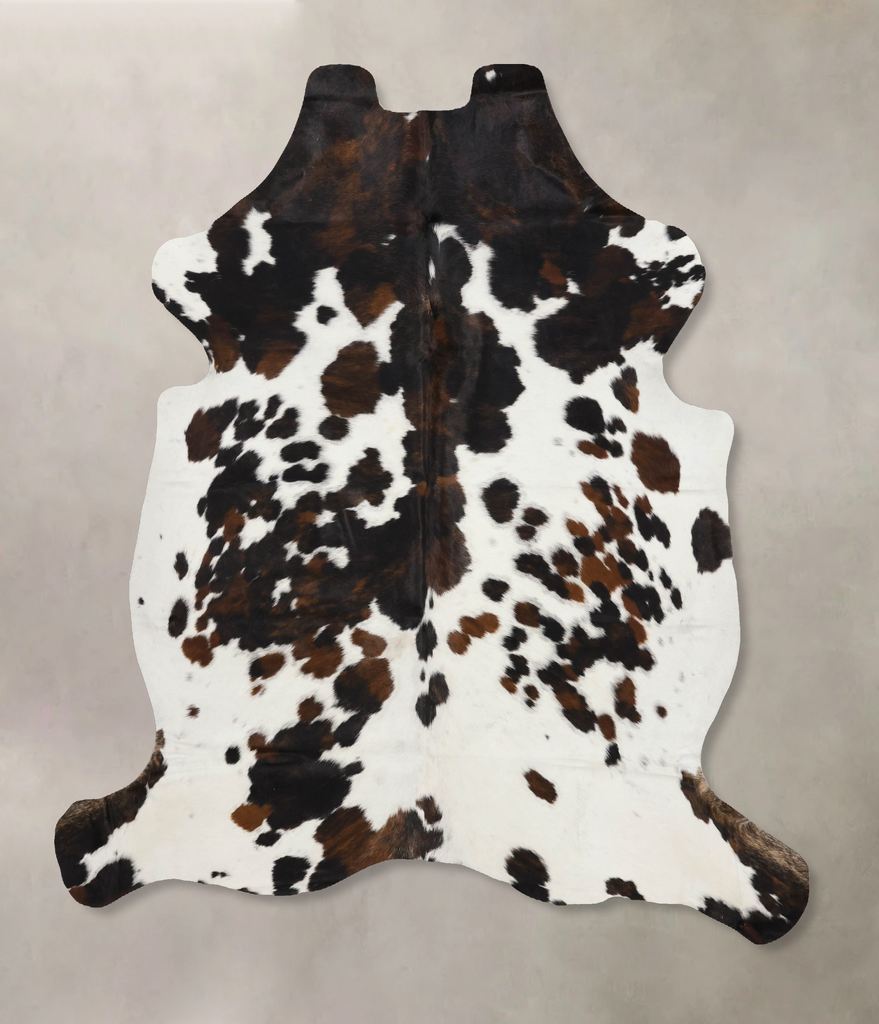 Tricolor X-Large European Cowhide Rug 7'1"H x 6'1"W #B12249 by Hudson Hides