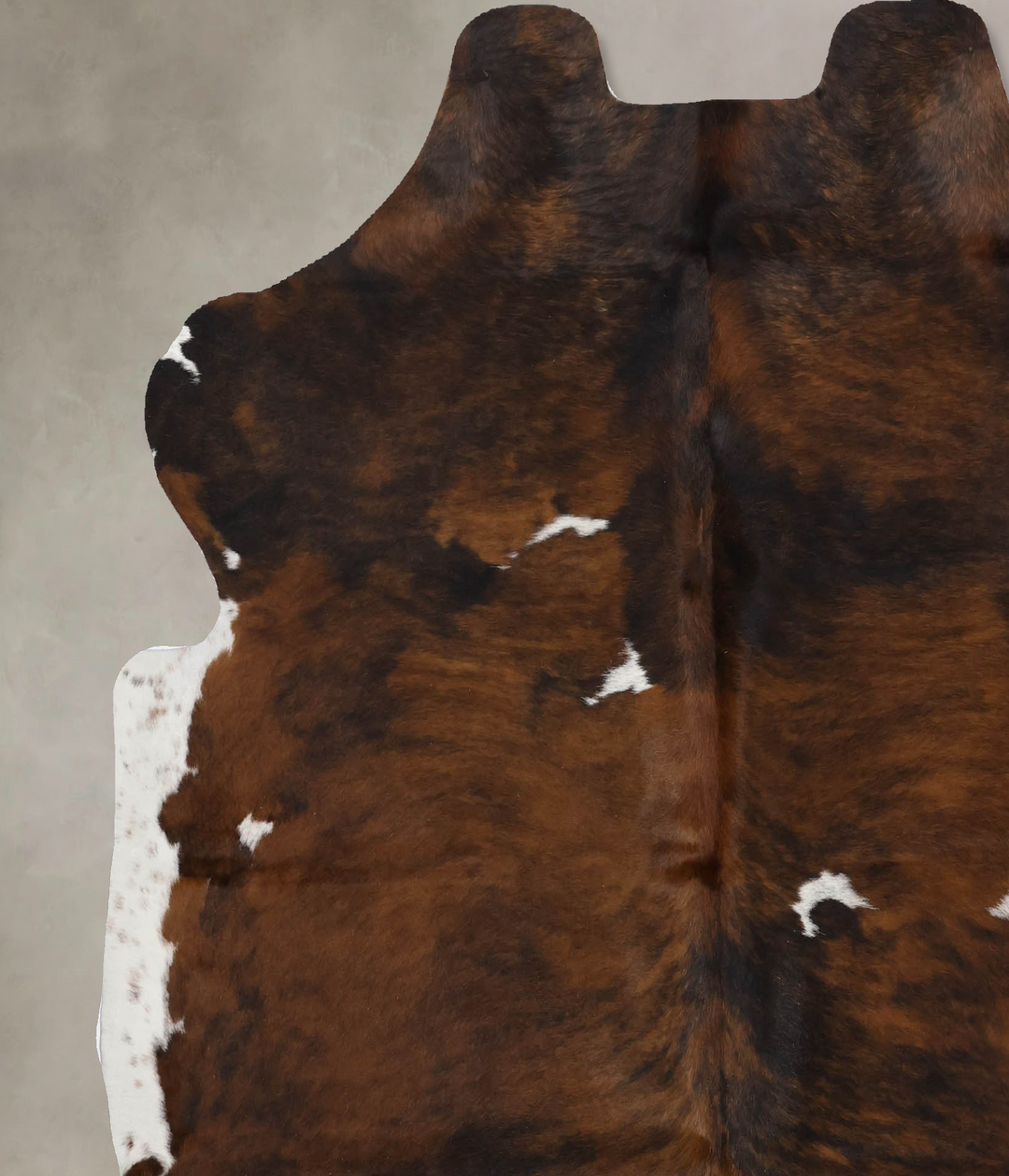 Tricolor X-Large European Cowhide Rug 6'8"H x 6'5"W #B12251 by Hudson 