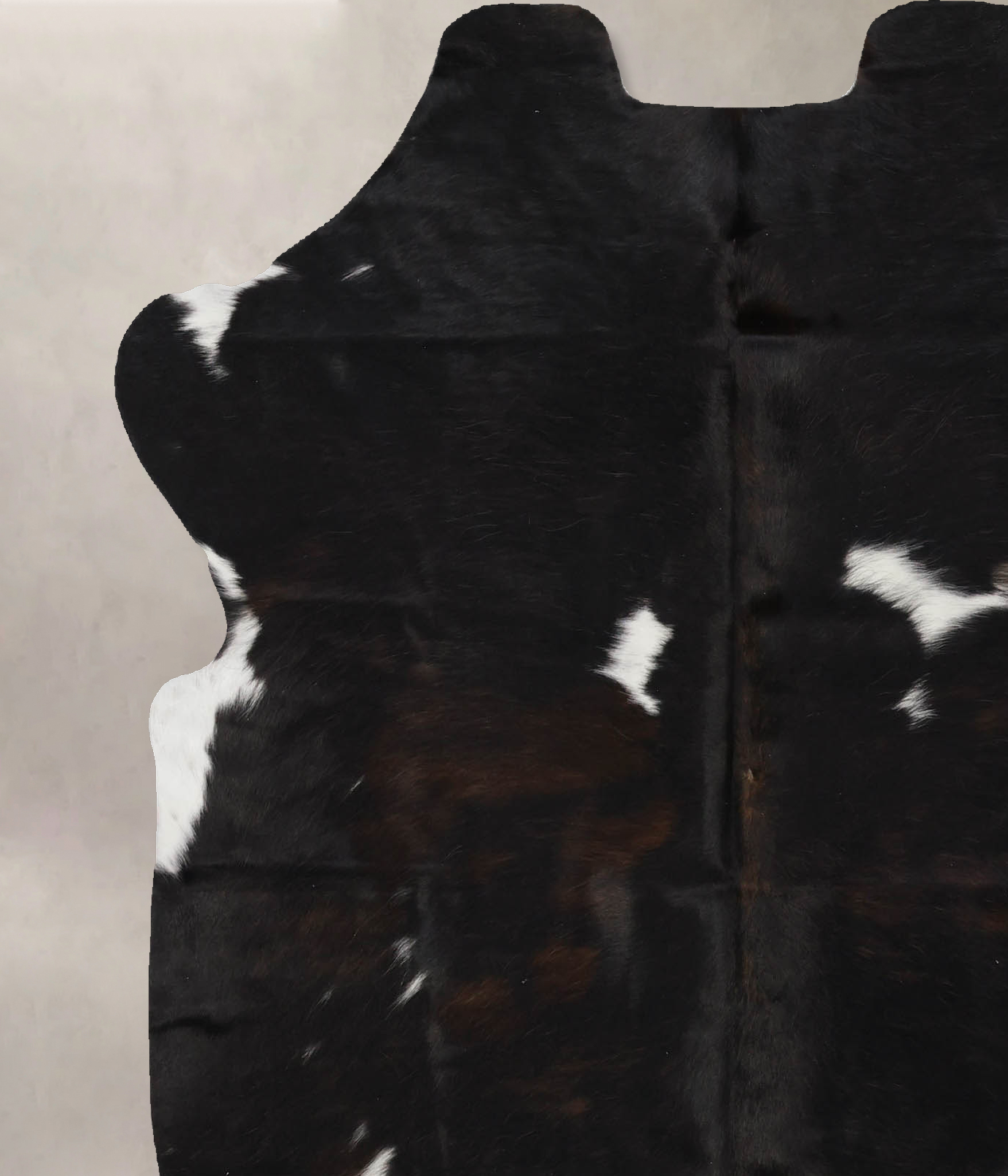 Tricolor Cowhide Rug #B12262