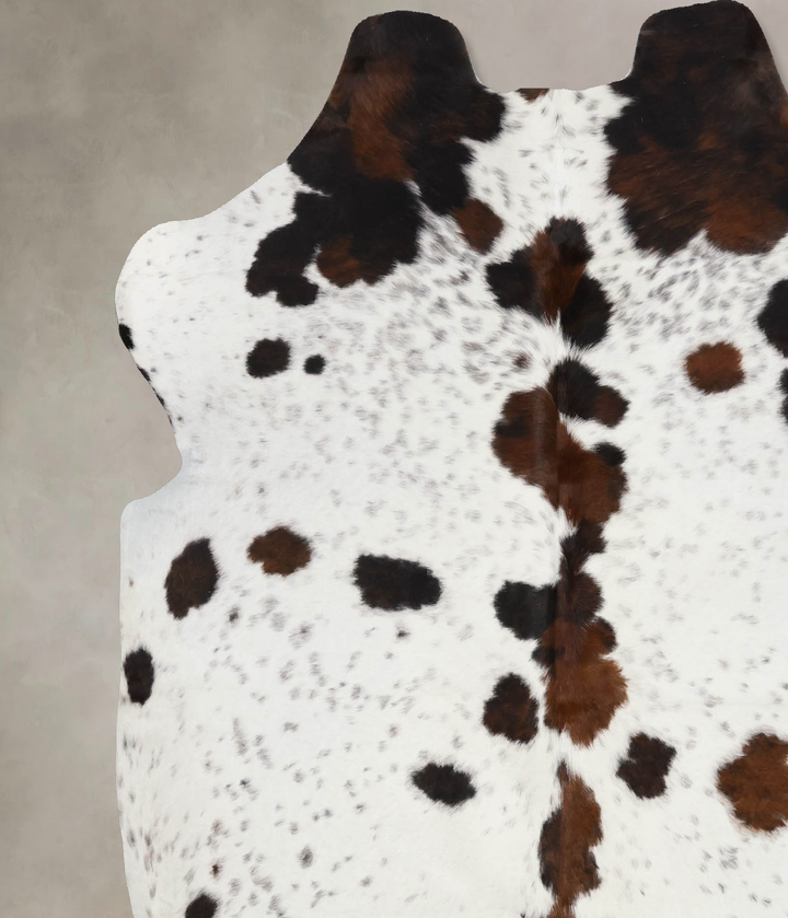 Tricolor X-Large European Cowhide Rug 6'7"H x 6'3"W #B12263 by Hudson Hides