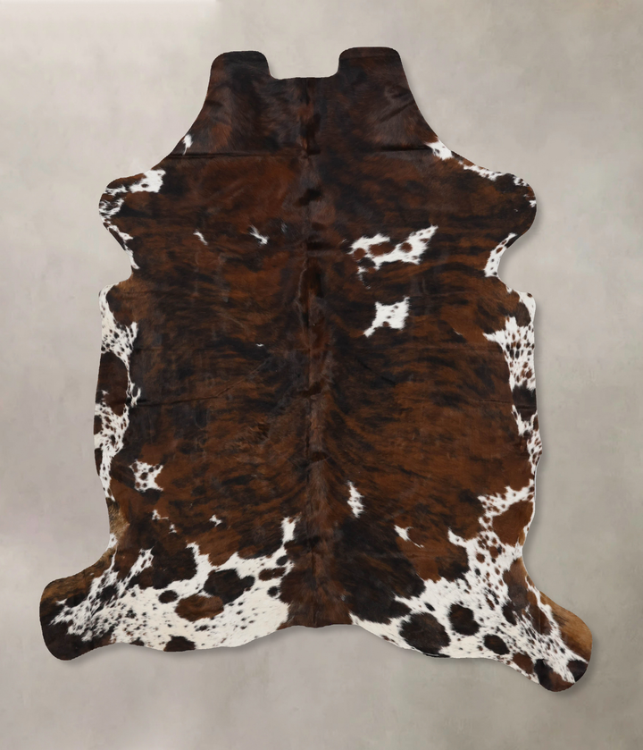 Tricolor X-Large European Cowhide Rug 6'11"H x 6'1"W #B12277 by Hudson Hides