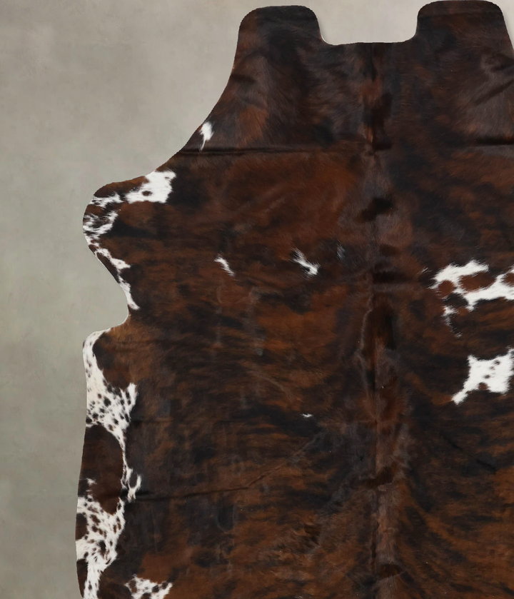 Tricolor X-Large European Cowhide Rug 6'11"H x 6'1"W #B12277 by Hudson Hides