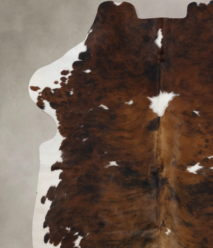 Tricolor X-Large European Cowhide Rug 6'11"H x 5'9"W #B12280 by Hudson Hides