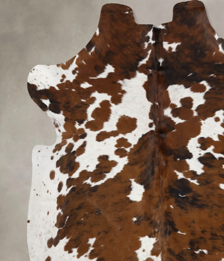 Tricolor X-Large European Cowhide Rug 6'9"H x 6'5"W #B12305 by Hudson Hides
