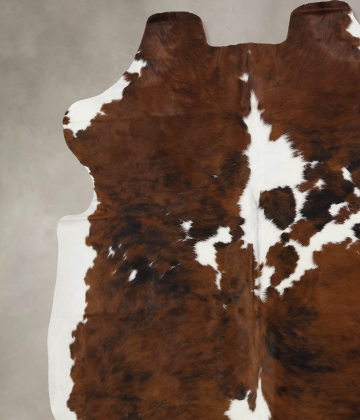 Tricolor X-Large European Cowhide Rug 6'9"H x 6'6"W #B12306 by Hudson Hides