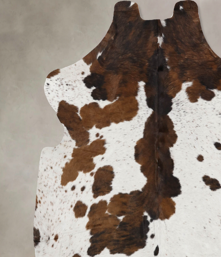 Tricolor Large European Cowhide Rug 6'6"H x 5'11"W #B12332 by Hudson Hides