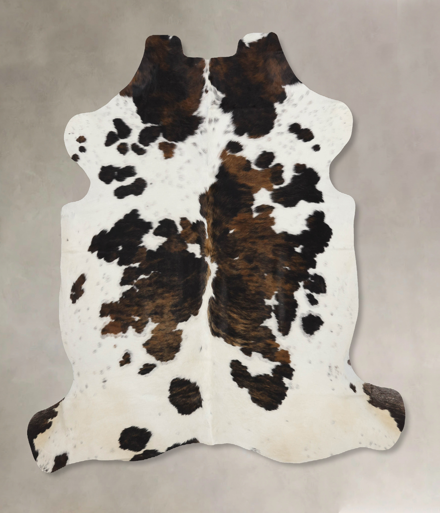 Tricolor X-Large European Cowhide Rug 6'9"H x 6'7"W #B12336 by Hudson Hides