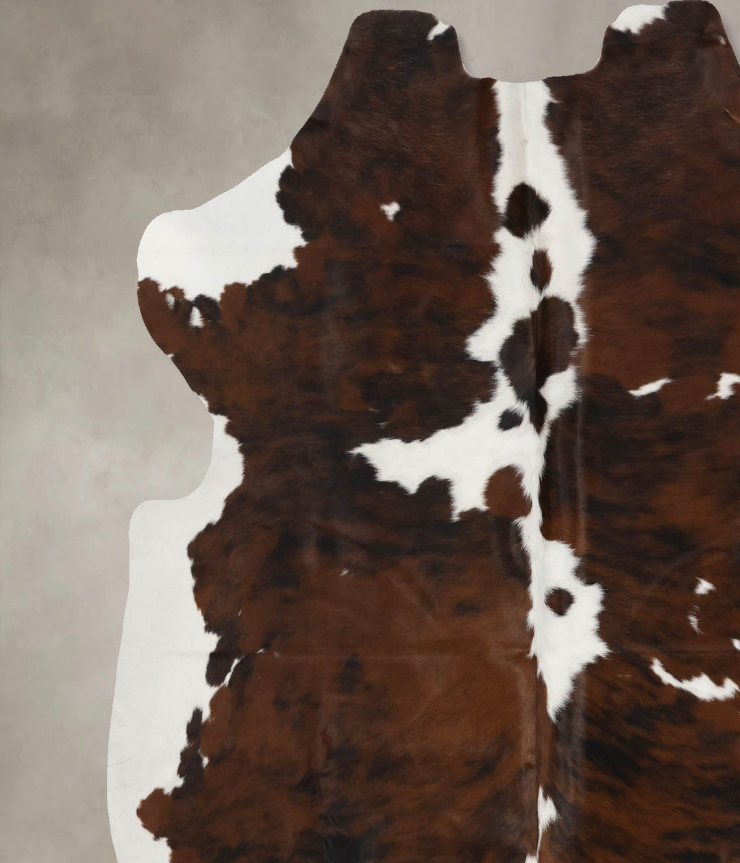 Tricolor X-Large European Cowhide Rug 6'7"H x 6'4"W #B12342 by Hudson 