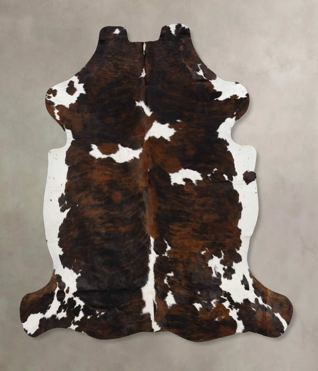 Tricolor X-Large European Cowhide Rug 6'7"H x 6'1"W #B12343 by Hudson 