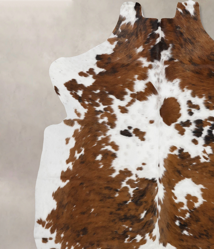 Tricolor X-Large European Cowhide Rug 6'8"H x 6'5"W #B12346 by Hudson Hides